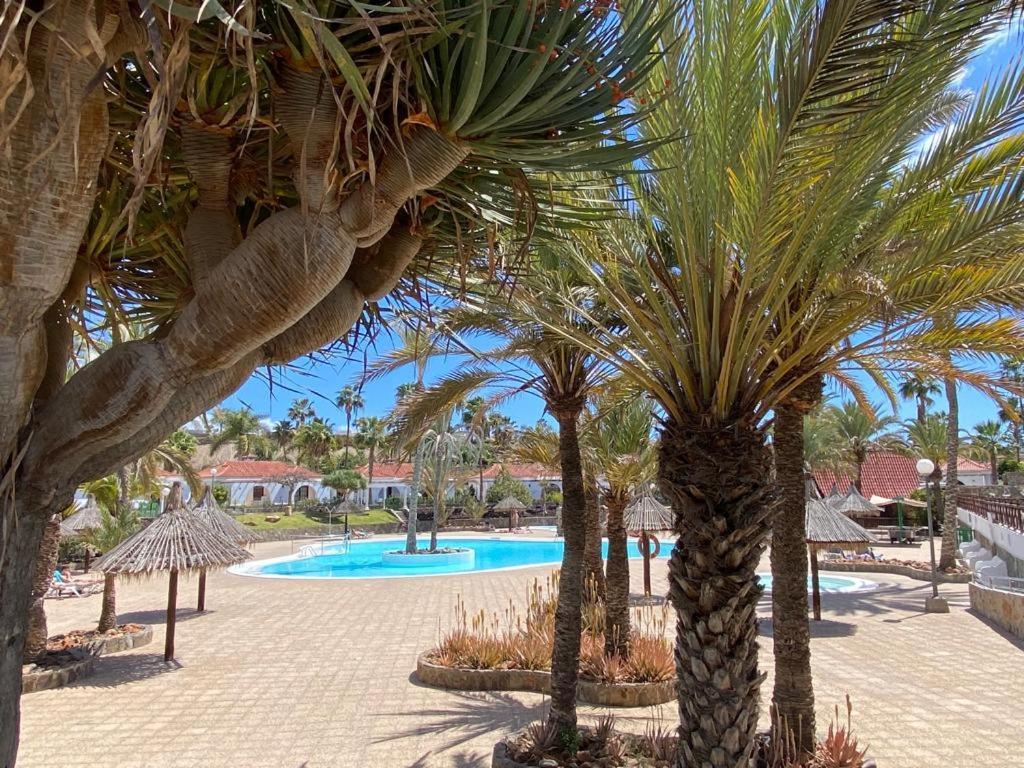 Bungalow Parque Golf By Sunhousescanarias ماسبالوماس المظهر الخارجي الصورة